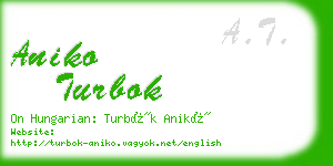 aniko turbok business card